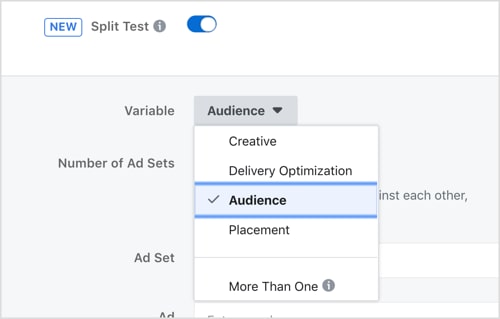 audience selection