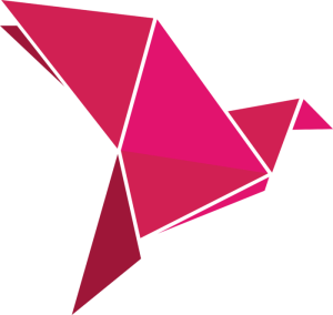 Geometric Designs - bkash logo
