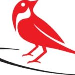 Red Sparrow Digital
